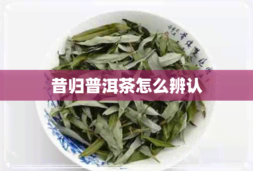 昔归普洱茶怎么辨认