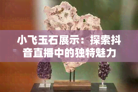 小飞玉石展示：探索抖音直播中的独特魅力