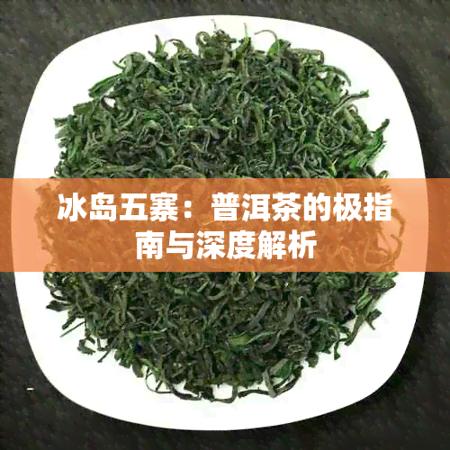 冰岛五寨：普洱茶的极指南与深度解析