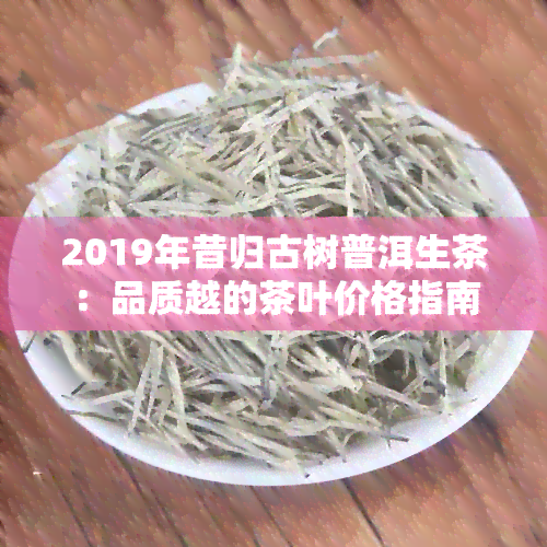 2019年昔归古树普洱生茶：品质越的茶叶价格指南