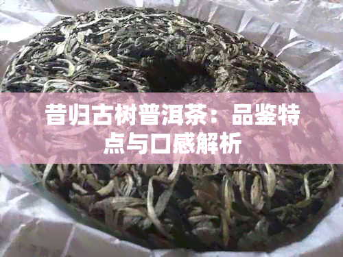 昔归古树普洱茶：品鉴特点与口感解析