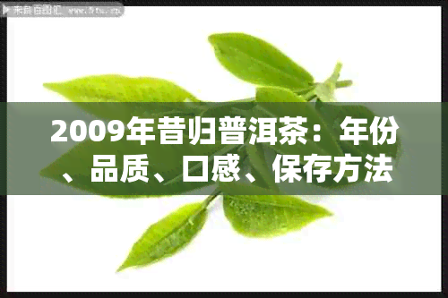 2009年昔归普洱茶：年份、品质、口感、保存方法等全方位解析与选购指南