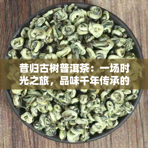 昔归古树普洱茶：一场时光之旅，品味千年传承的味道