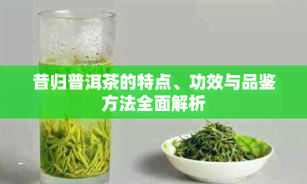 昔归普洱茶的特点、功效与品鉴方法全面解析