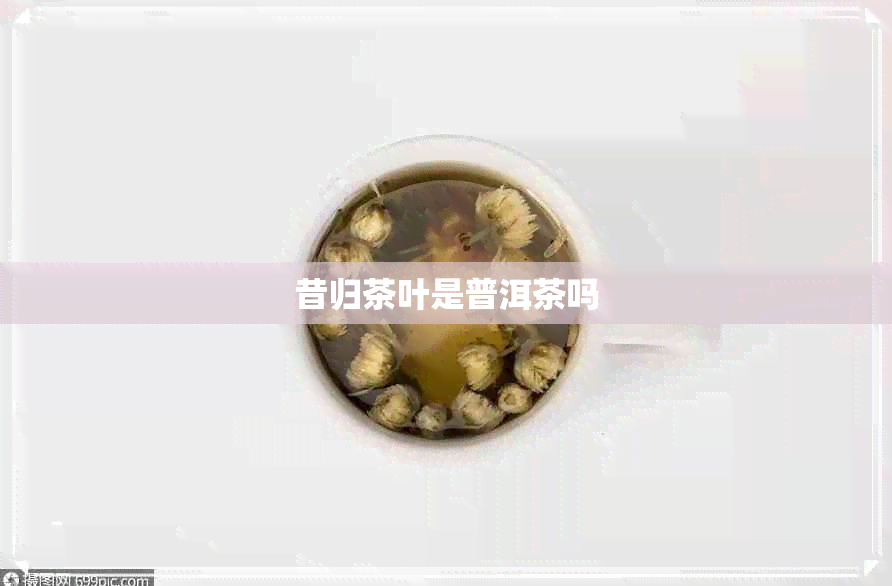 昔归茶叶是普洱茶吗