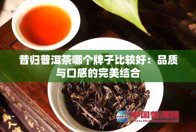 昔归普洱茶哪个牌子比较好：品质与口感的完美结合