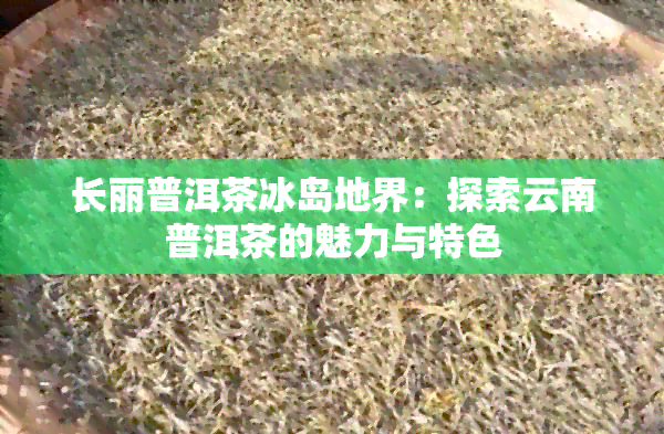 长丽普洱茶冰岛地界：探索云南普洱茶的魅力与特色