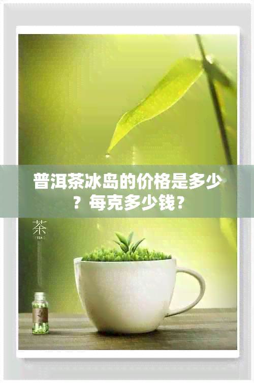 普洱茶冰岛的价格是多少？每克多少钱？