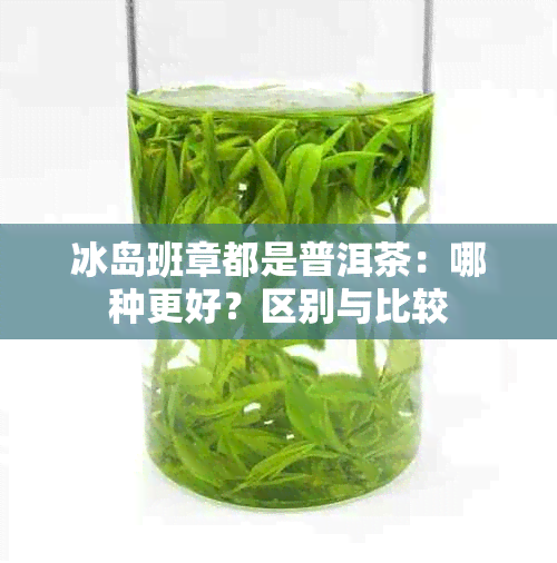 冰岛班章都是普洱茶：哪种更好？区别与比较