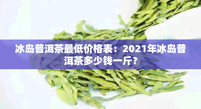 冰岛普洱茶更低价格表：2021年冰岛普洱茶多少钱一斤？