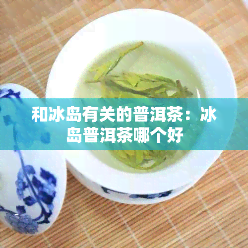 和冰岛有关的普洱茶：冰岛普洱茶哪个好