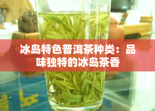 冰岛特色普洱茶种类：品味独特的冰岛茶香