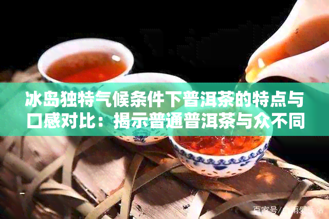 冰岛独特气候条件下普洱茶的特点与口感对比：揭示普通普洱茶与众不同之处