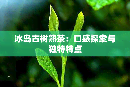 冰岛古树熟茶：口感探索与独特特点