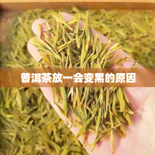 普洱茶放一会变黑的原因