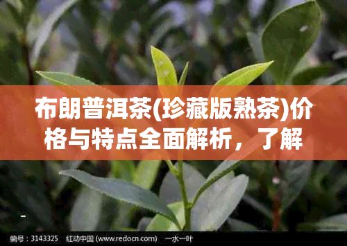 布朗普洱茶(珍藏版熟茶)价格与特点全面解析，了解购买的时机和品质选择