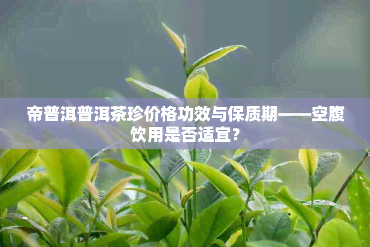 帝普洱普洱茶珍价格功效与保质期——空腹饮用是否适宜？