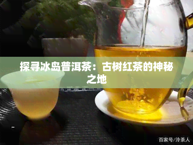 探寻冰岛普洱茶：古树红茶的神秘之地