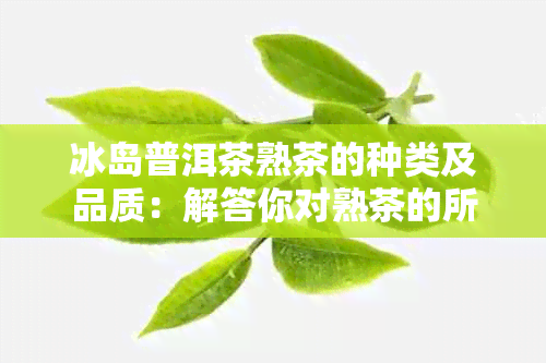 冰岛普洱茶熟茶的种类及品质：解答你对熟茶的所有疑问