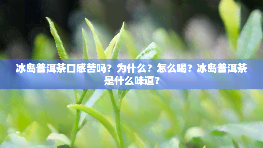 冰岛普洱茶口感苦吗？为什么？怎么喝？冰岛普洱茶是什么味道？