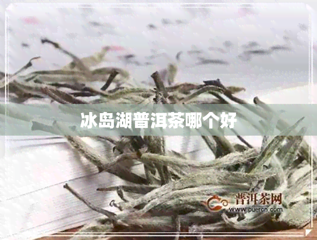 冰岛湖普洱茶哪个好