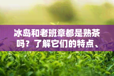 冰岛和老班章都是熟茶吗？了解它们的特点、区别和口感，帮助你做出选择。