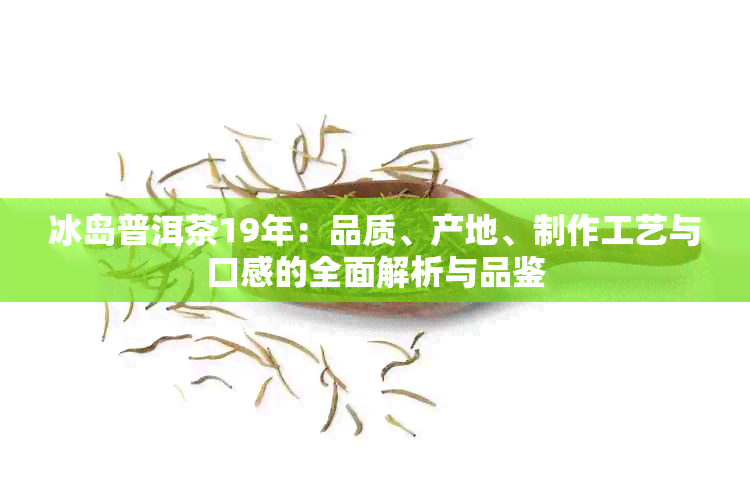 冰岛普洱茶19年：品质、产地、制作工艺与口感的全面解析与品鉴