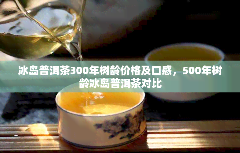 冰岛普洱茶300年树龄价格及口感，500年树龄冰岛普洱茶对比