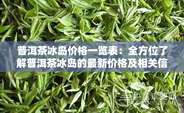 普洱茶冰岛价格一览表：全方位了解普洱茶冰岛的最新价格及相关信息