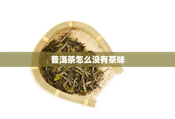 普洱茶怎么没有茶味