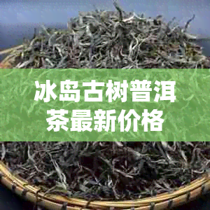 冰岛古树普洱茶最新价格批发货源