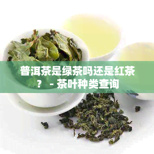 普洱茶是绿茶吗还是红茶？ - 茶叶种类查询