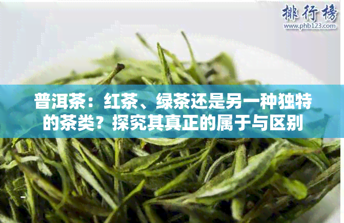 普洱茶：红茶、绿茶还是另一种独特的茶类？探究其真正的属于与区别