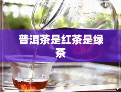 普洱茶是红茶是绿茶