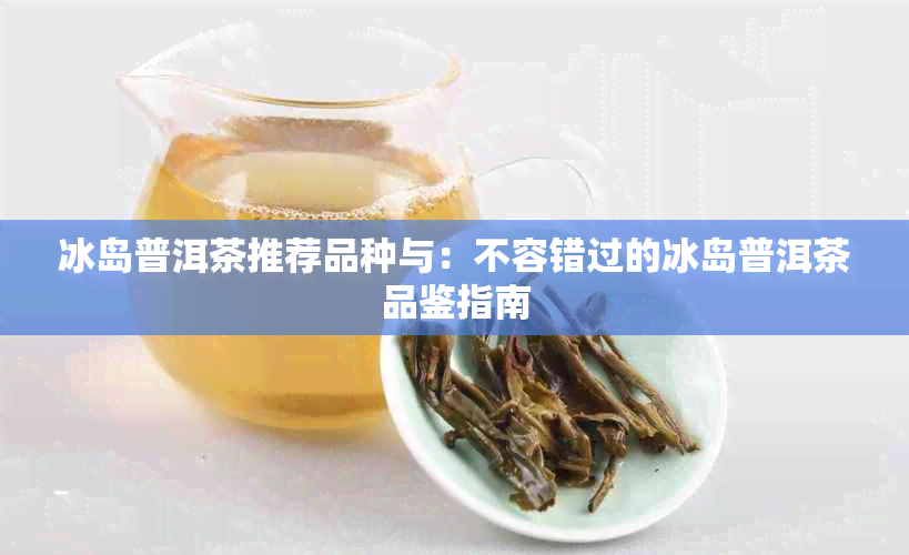 冰岛普洱茶推荐品种与：不容错过的冰岛普洱茶品鉴指南