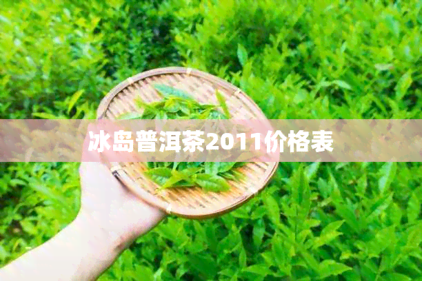 冰岛普洱茶2011价格表