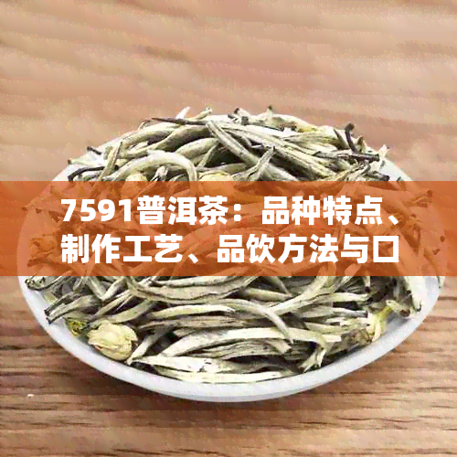 7591普洱茶：品种特点、制作工艺、品饮方法与口感鉴，一文全面解析