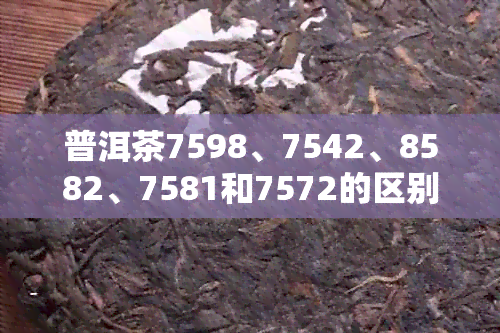 普洱茶7598、7542、8582、7581和7572的区别及等级，哪个更好？