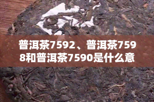 普洱茶7592、普洱茶7598和普洱茶7590是什么意思？