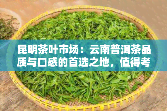 昆明茶叶市场：云南普洱茶品质与口感的首选之地，值得考虑购买的好去处