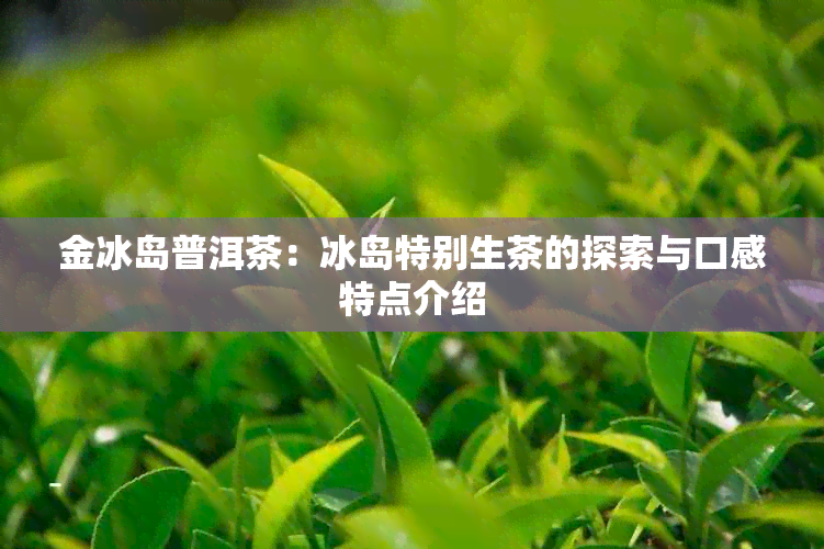 金冰岛普洱茶：冰岛特别生茶的探索与口感特点介绍