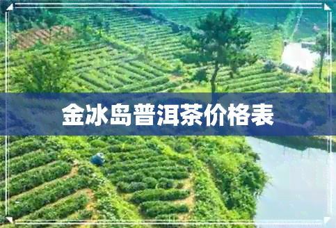 金冰岛普洱茶价格表