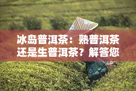 冰岛普洱茶：熟普洱茶还是生普洱茶？解答您的疑问和区别