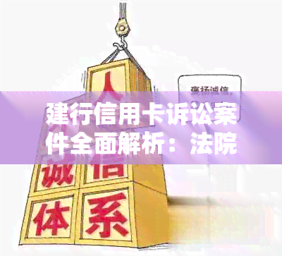 建行信用卡诉讼案件全面解析：法院起诉、原因、影响及应对措