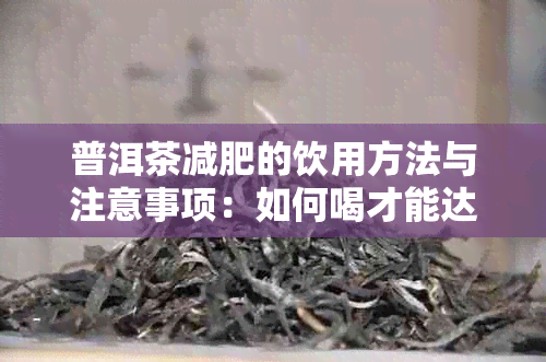 普洱茶减肥的饮用方法与注意事项：如何喝才能达到效果？