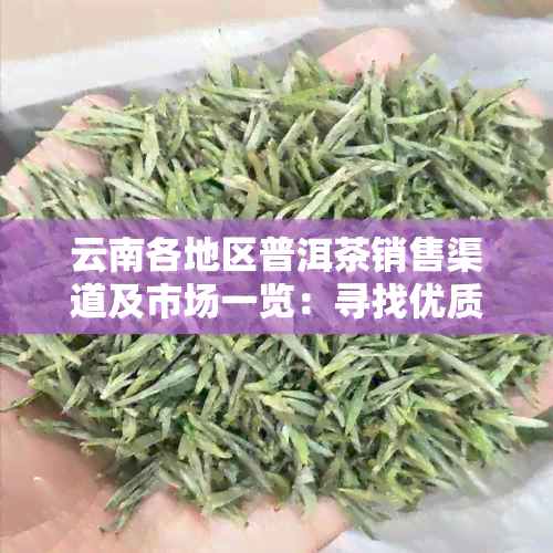 云南各地区普洱茶销售渠道及市场一览：寻找优质普洱茶的完整指南