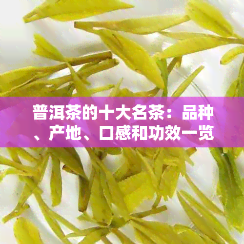 普洱茶的十大名茶：品种、产地、口感和功效一览