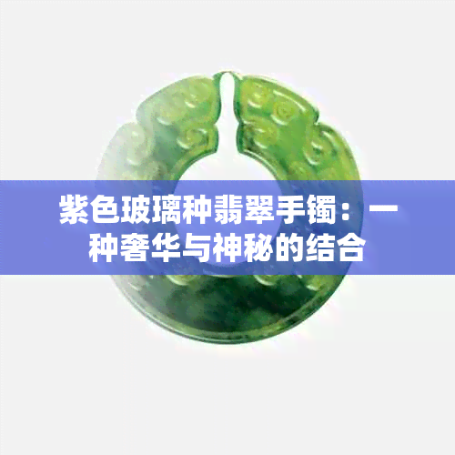 紫色玻璃种翡翠手镯：一种奢华与神秘的结合