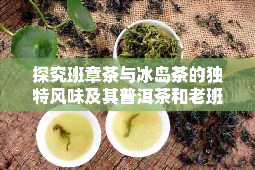 探究班章茶与冰岛茶的独特风味及其普洱茶和老班章的异同