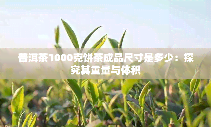 普洱茶1000克饼茶成品尺寸是多少：探究其重量与体积